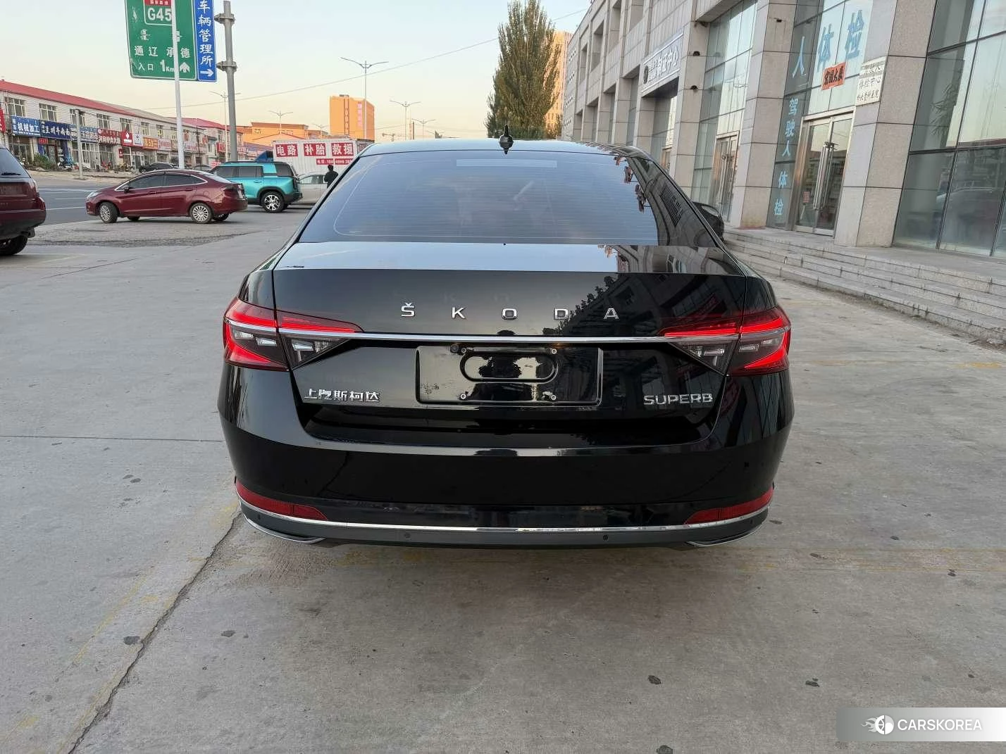 Skoda Speed pie 2023 Черный из Китая, фото 6