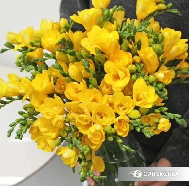 Kia Carnival 4th generation 2022 Серый из Кореи, фото 5