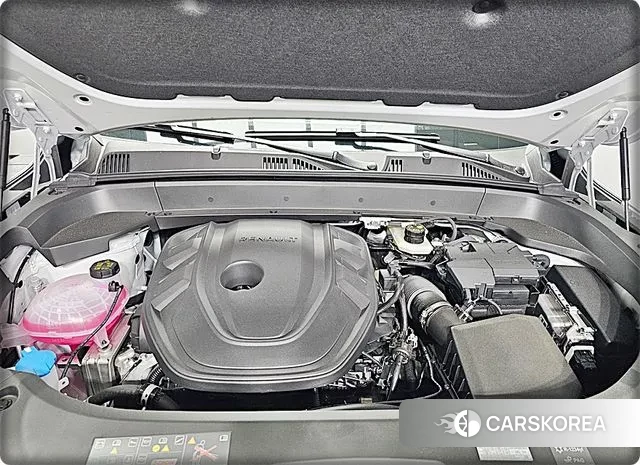 Renault Korea (Samsung) Grand Coleos id 3624242 из Кореи 15