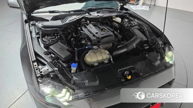 Ford Mustang id 4396906 из Кореи 27