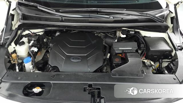 Kia The New Carnival id 3828972 из Кореи 15