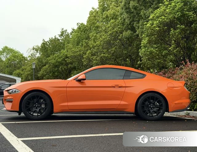 Ford Mustang id 4254582 из Китая 10