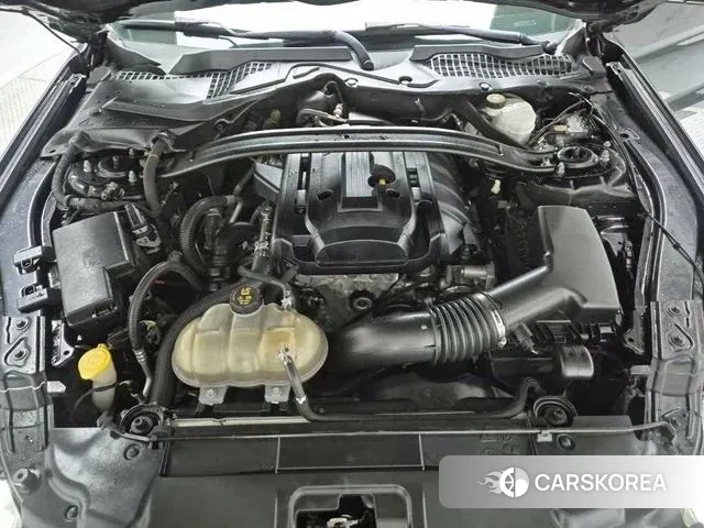 Ford Mustang id 3021052 из Кореи 15