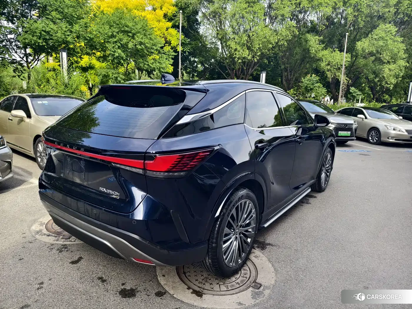 Lexus RX 2024 Синий из Китая, фото 6
