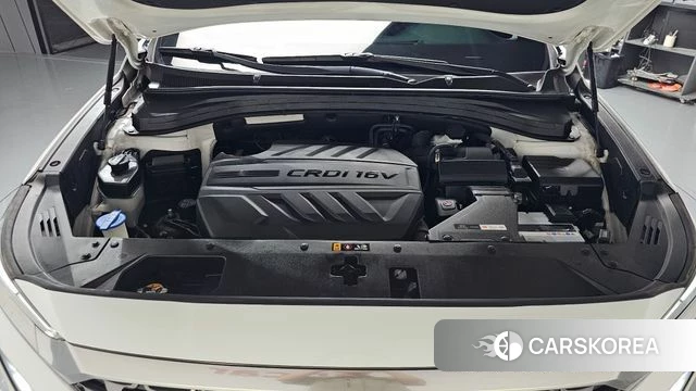 Hyundai Santa Fe TM id 4430245 из Кореи 33