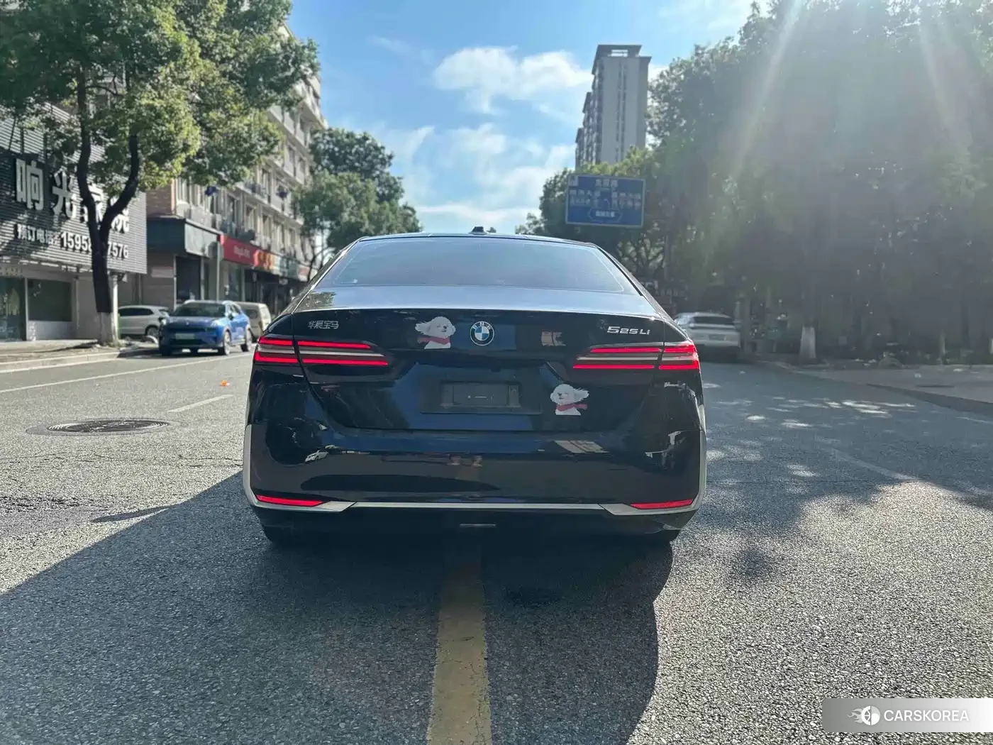 BMW 5 series id 4653927 из Китая 13