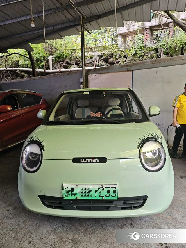 Changan Qiyuan Changan Lumin 2024 Зеленый из Китая, фото 5