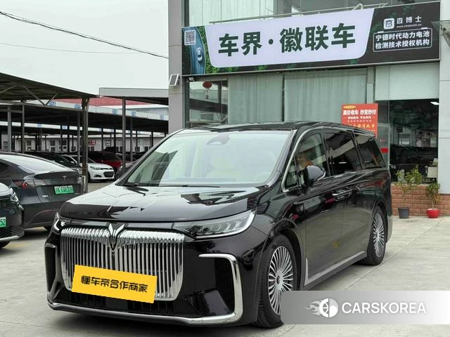 Lan Tu Dreamer PHEV id 4235967 из Китая 8