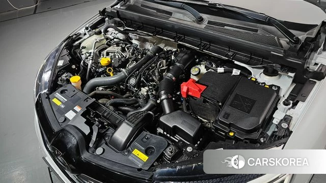Renault Korea (Samsung) XM3 id 4397042 из Кореи 28