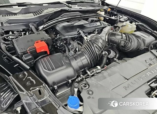 Ford Mustang 7th Generation id 4879992 из Кореи 14