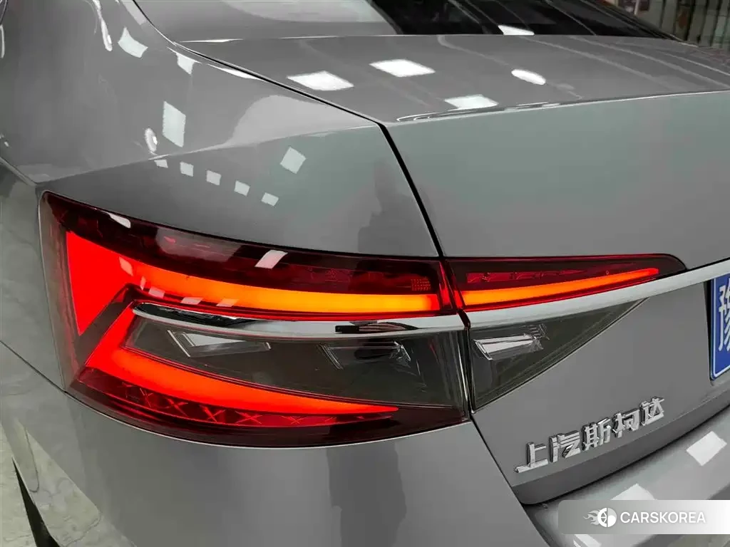 Skoda Speed pie id 4577562 из Китая 20