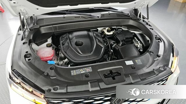 Renault Korea (Samsung) Grand Coleos id 3921493 из Кореи 15