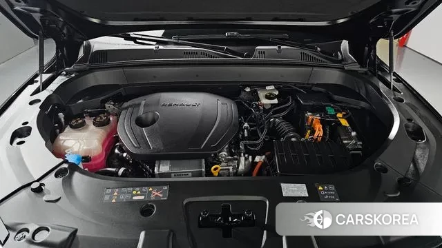 Renault Korea (Samsung) Grand Coleos id 3371725 из Кореи 15