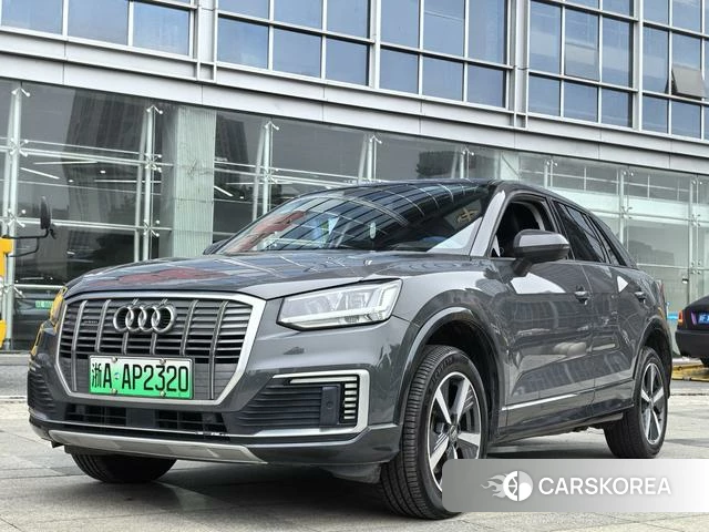Audi Q2L e-tron id 4359025 из Китая 10