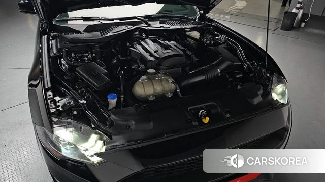 Ford Mustang id 4019507 из Кореи 15