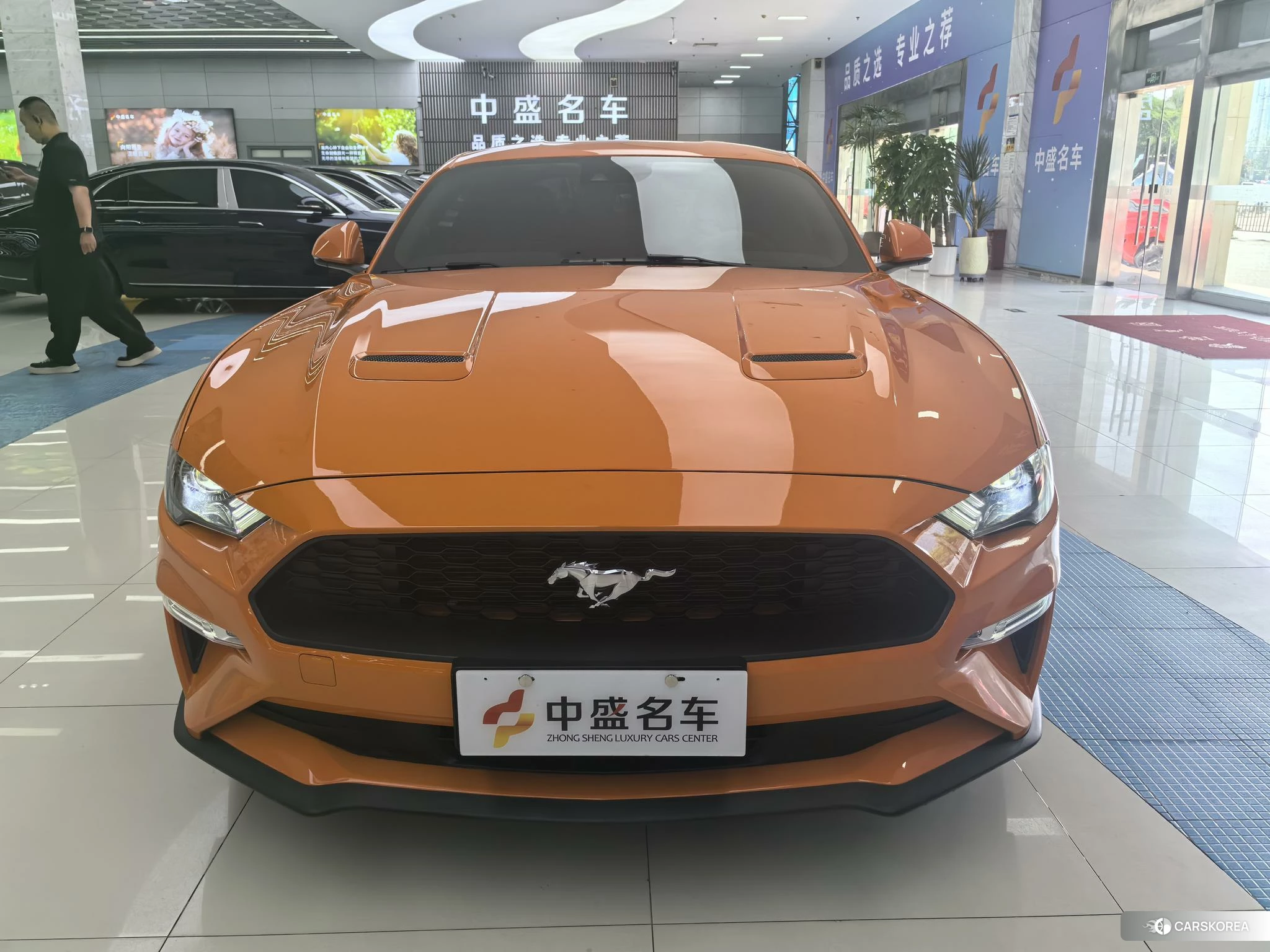 Ford Mustang id 4426761 из Китая 10