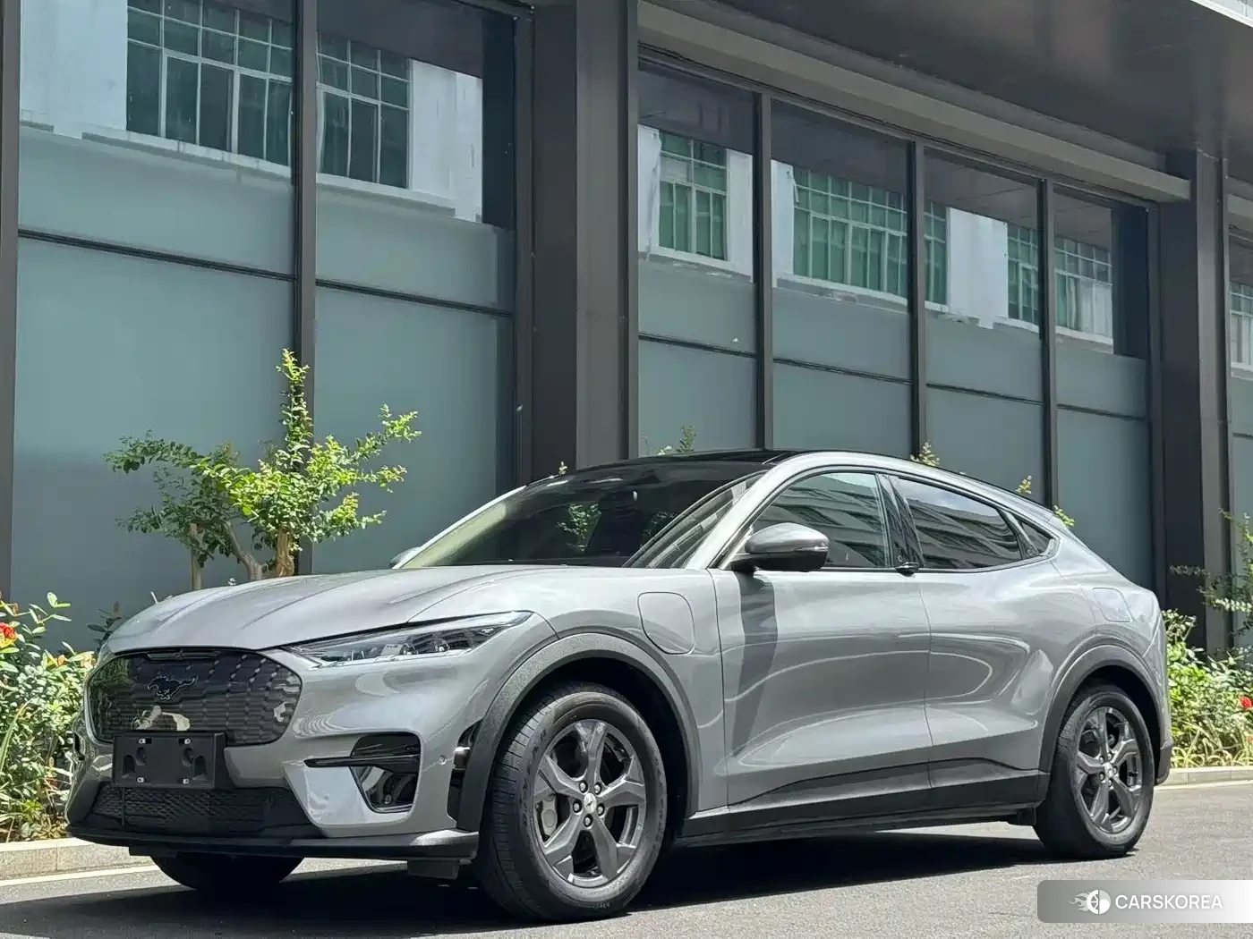 Ford Electric horse 2022 Silver/gray из Китая, фото 5