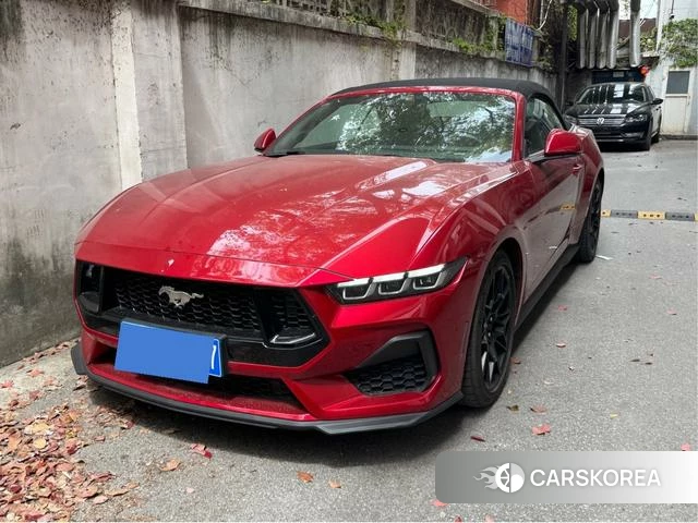 Ford Mustang id 4205801 из Китая 15