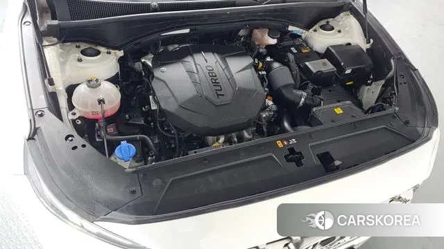 Hyundai The New Santa Fe id 3721500 из Кореи 15