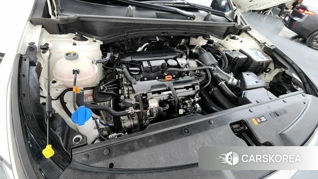 Kia Sportage 5th Generation id 3903809 из Кореи 15