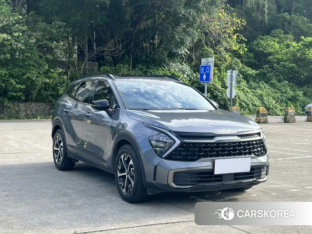 Kia Lion Platinum expands the world 2024 Темно-серый из Китая, фото 5