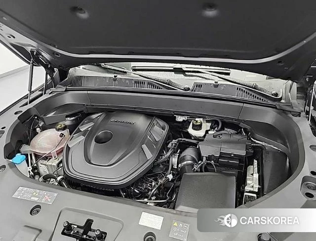 Renault Korea (Samsung) Grand Coleos id 4628518 из Кореи 14