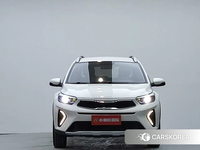 Kia Yi Ran id 4259439 из Китая 12
