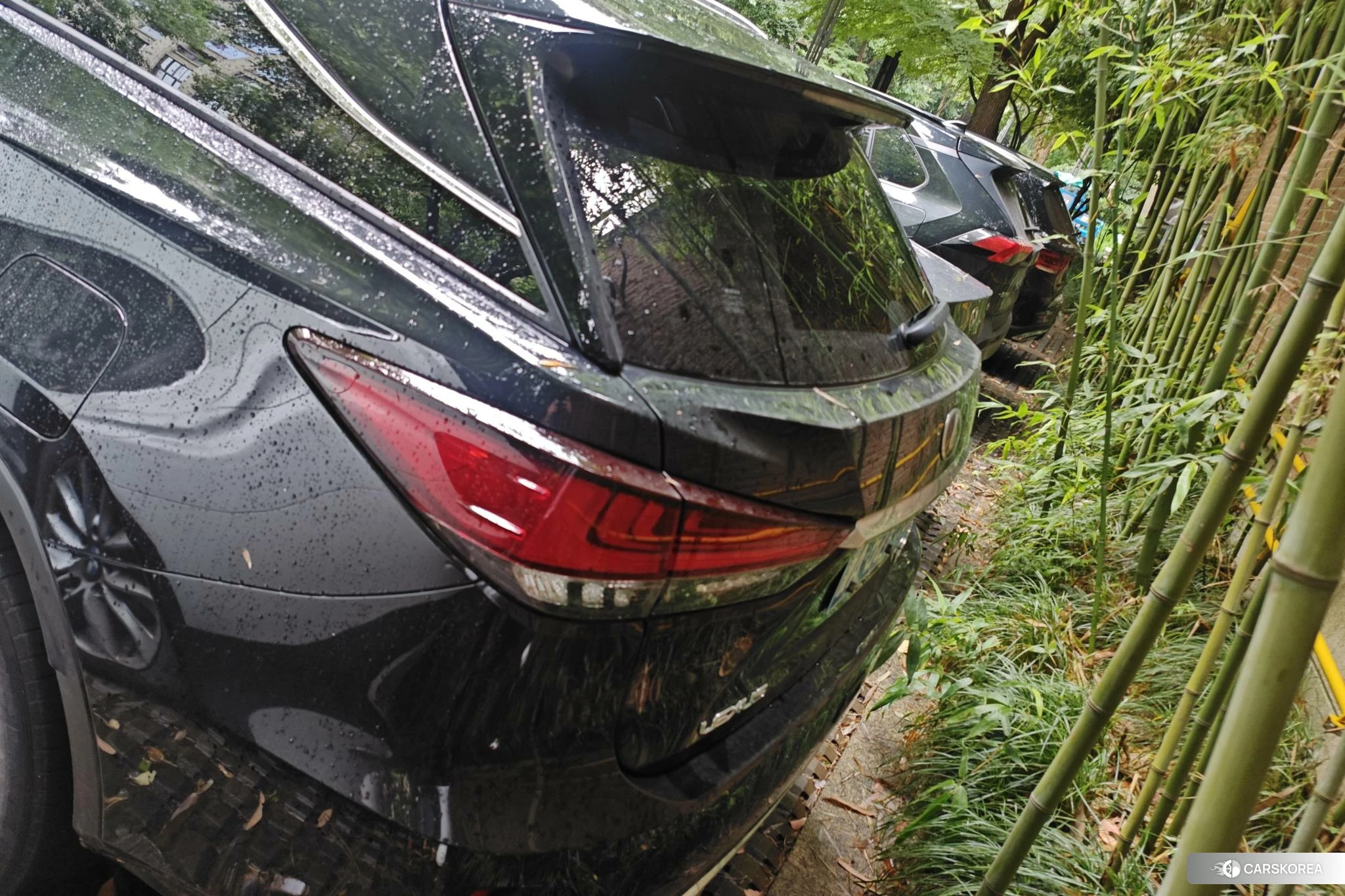 Lexus RX id 4486130 из Китая 12