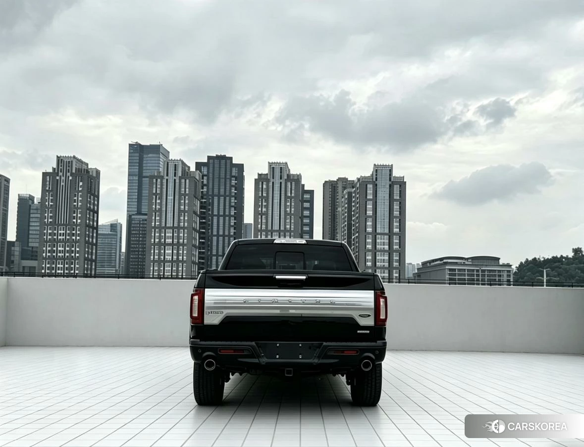 Ford F-150 id 4426793 из Китая 12