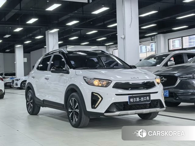 Kia Yi Ran id 4291416 из Китая 21