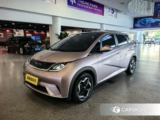 BYD dolphin id 4241378 из Китая 12