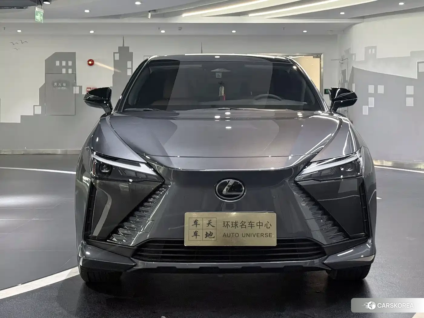Lexus RZ id 4570639 из Китая 12