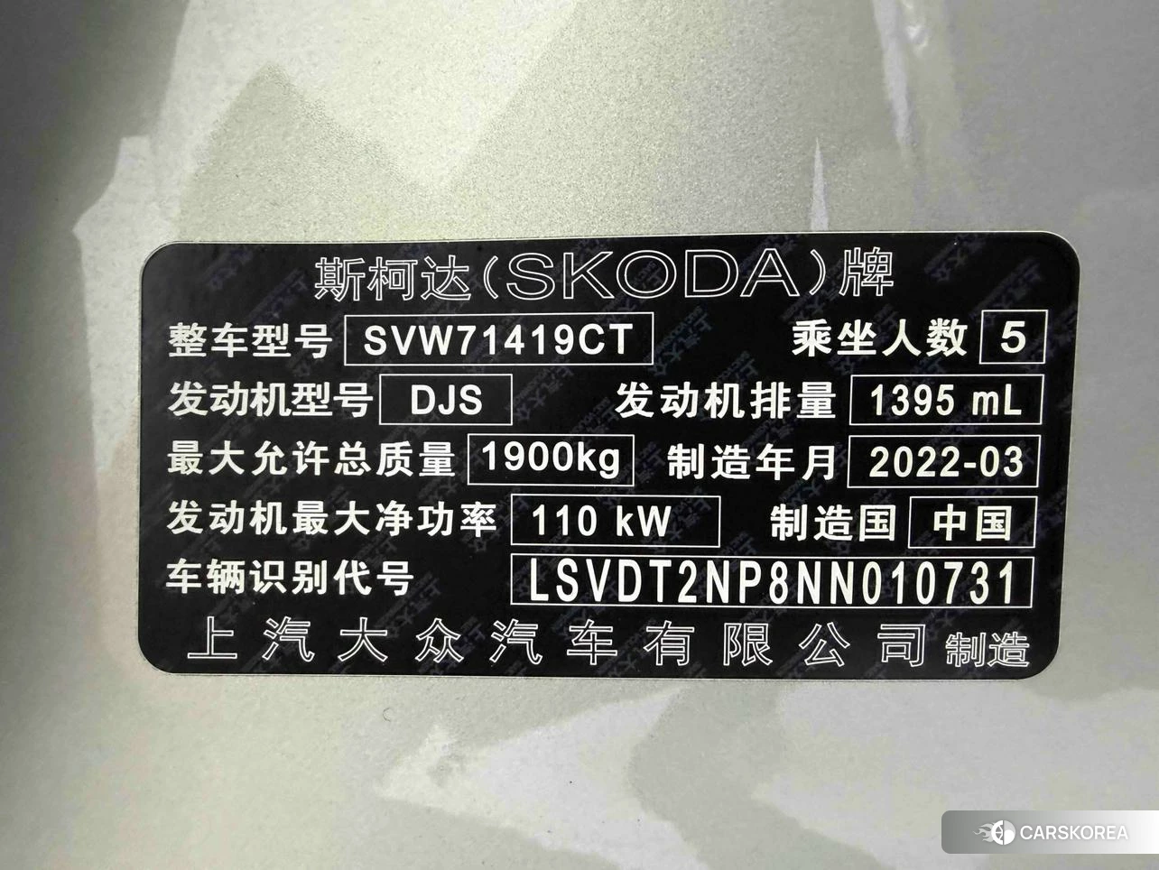 Skoda Speed pie id 4468076 из Китая 11