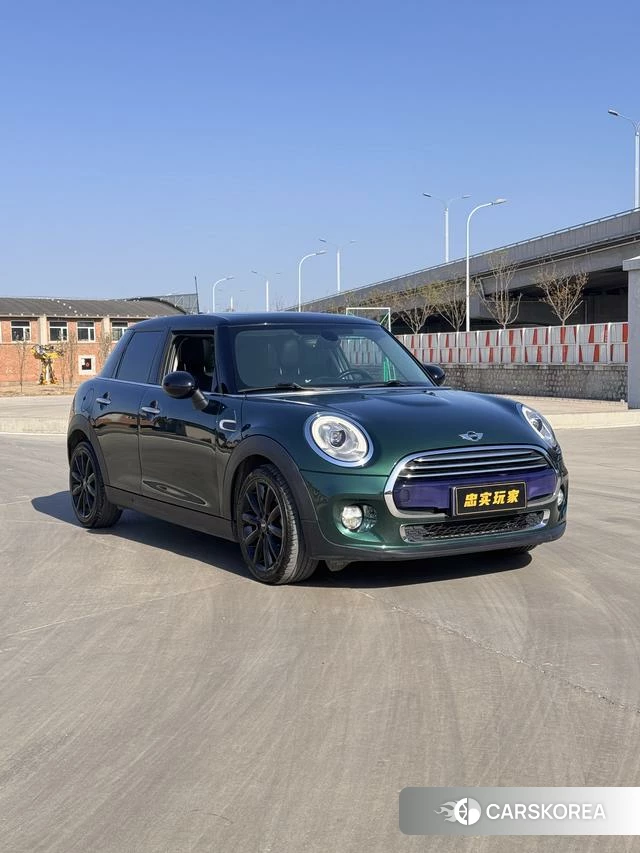 MINI Unknown 2018 Зеленый из Китая, фото 5