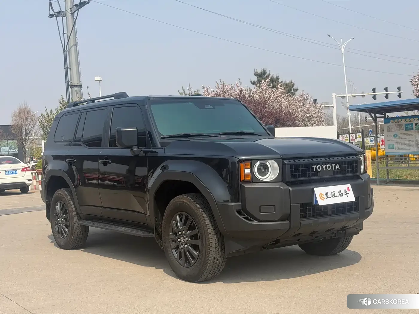 Toyota Land Cruiser id 4576904 из Китая 14