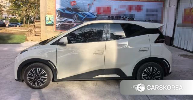 BYD Seagull 2025 Белый из Китая, фото 5