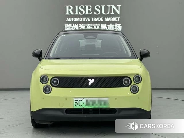 firefly firefly Unknown 2025 Зеленый из Китая, фото 5