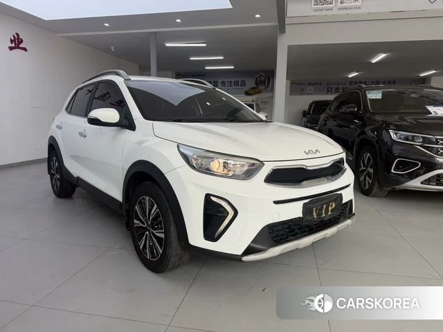 Kia Yi Ran id 4274258 из Китая 14