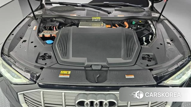 Audi e-Tron id 4750293 из Кореи 31