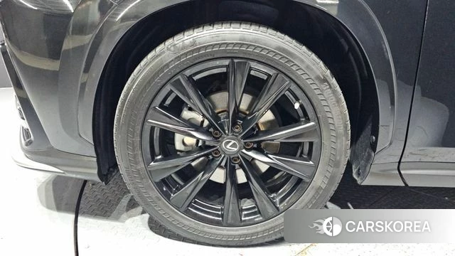 Lexus NX450h + 2nd generation id 4308996 из Кореи 15