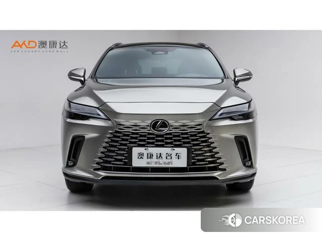 Lexus RX PHEV 2024 Серебристо-серый из Китая, фото 5