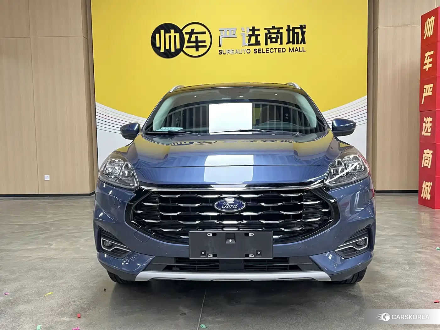 Ford Ruiji 2022 Синий из Китая, фото 6
