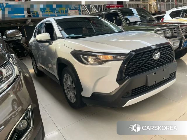 Toyota Corolla Sharp amplifier 2023 Белый из Китая, фото 5