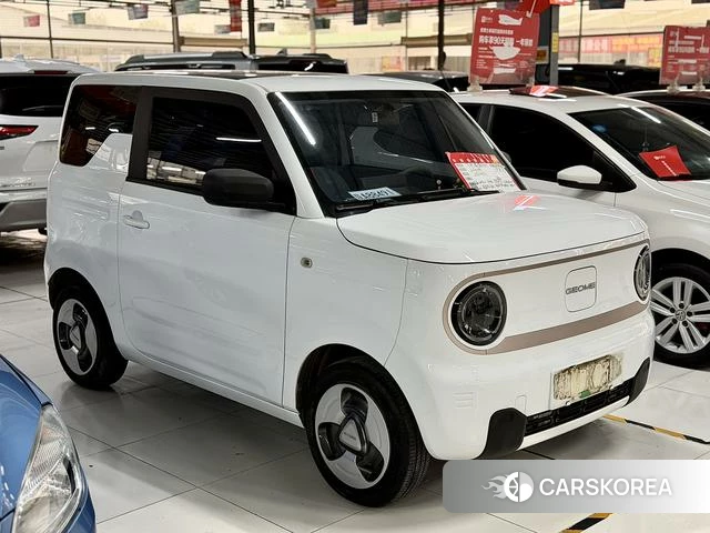Geely Galaxy panda 2023 Белый из Китая, фото 6