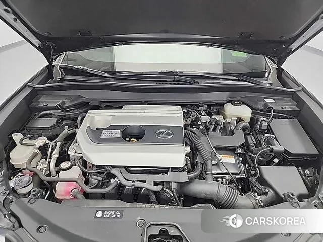 Lexus UX250h id 3444288 из Кореи 13