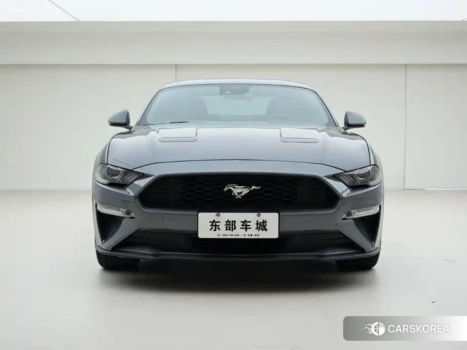 Ford Mustang id 4583857 из Китая 13