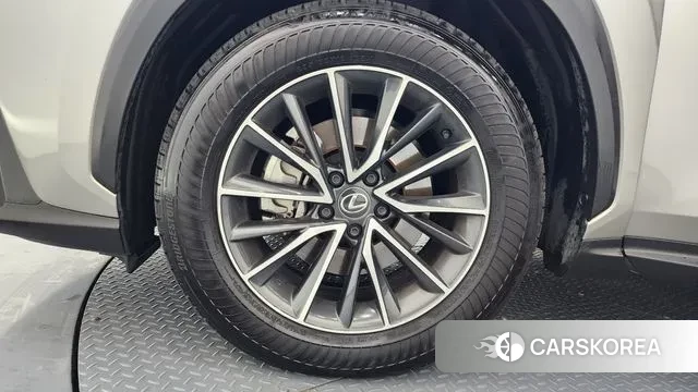 Lexus NX450h + 2nd generation id 3726085 из Кореи 15