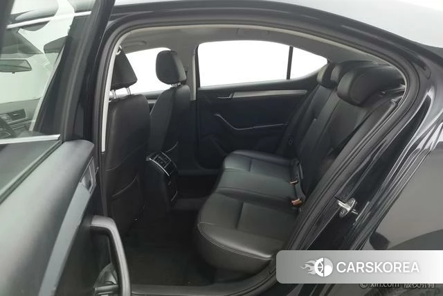 Skoda Speed pie id 4210065 из Китая 19