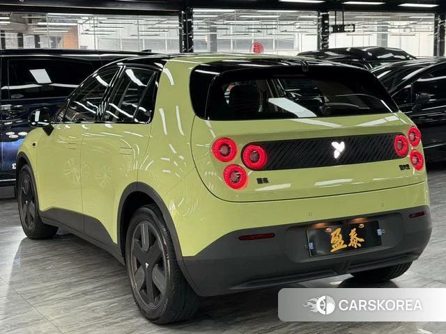 firefly firefly Unknown id 3983286 из Китая 10