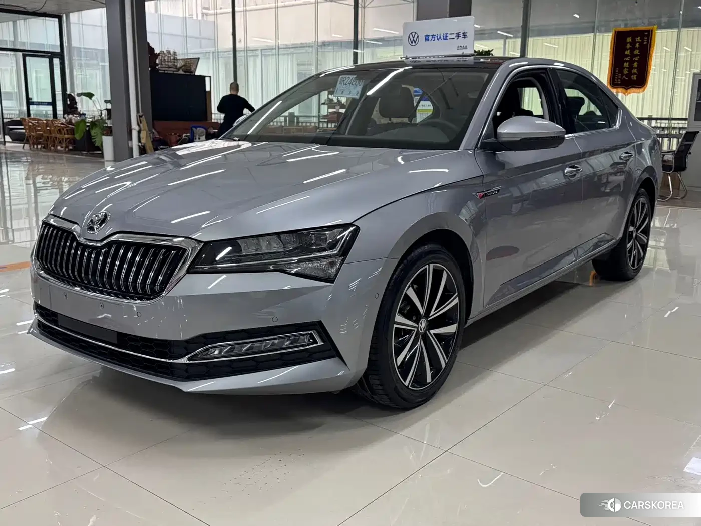 Skoda Speed pie id 4538747 из Китая 8